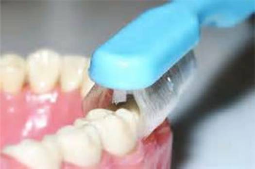 Collis-Curve_Adult__Soft_Toothbrush_with_Triplefit_Bristles_teeth