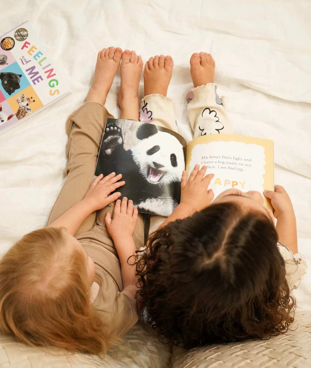 Dealing_in_feeelings_Feelings_and_me_book_panda