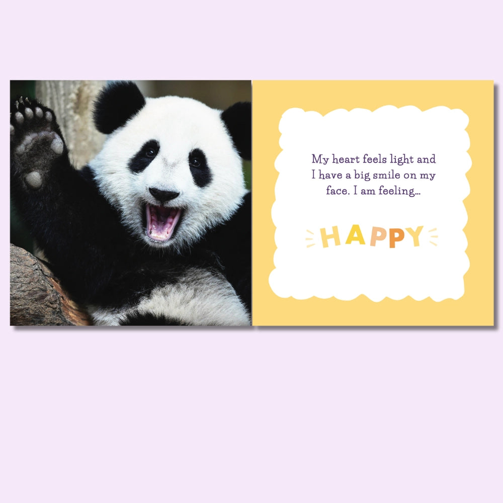 Dealing_in_feeelings_Feelings_and_me_book_panda_yellow