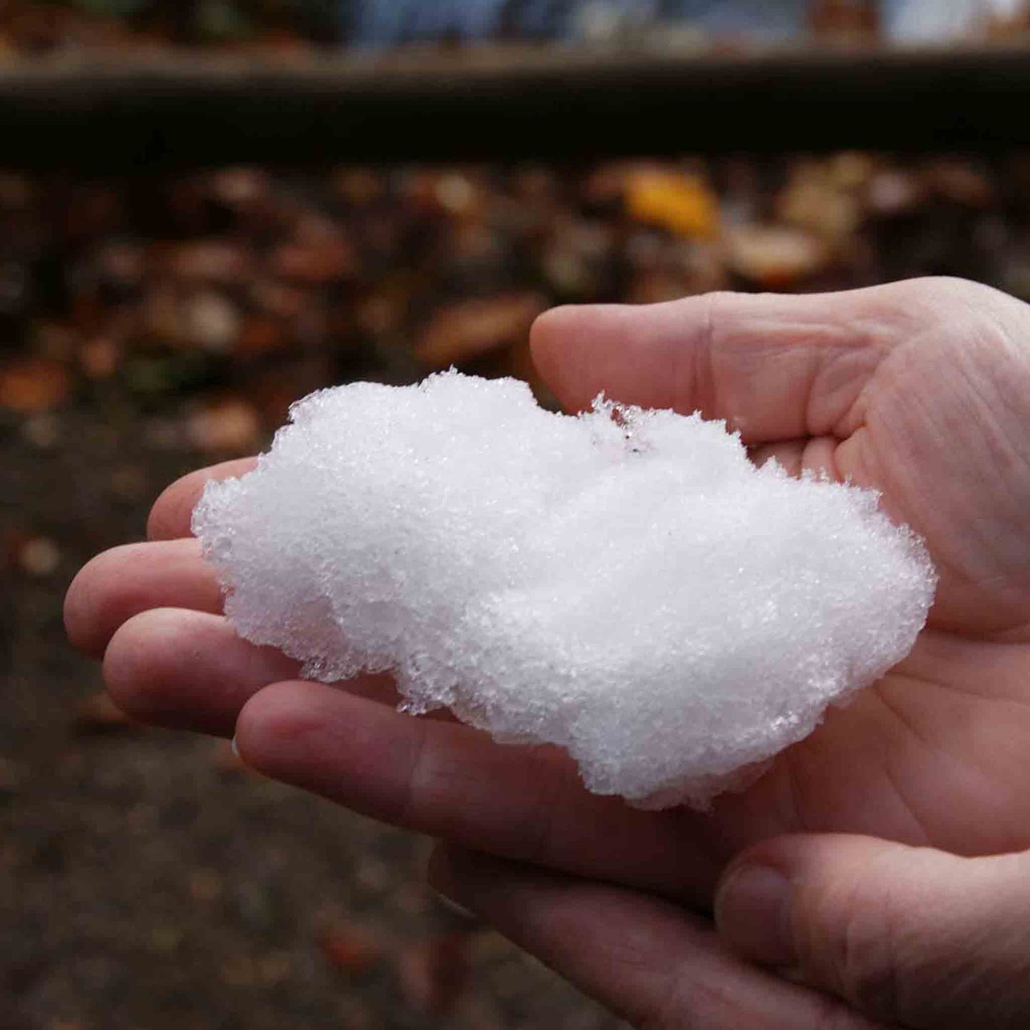 Test Tube | Polymer Snow