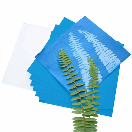 Hersche_Solar_Print_10cm_Kit_starter_plant_leaf