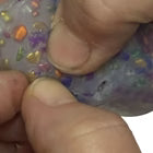Kaiko_Pebble_Pick_Em_squeeze