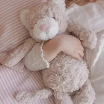 Pickles the Weighted Cat by Mindful and Co.