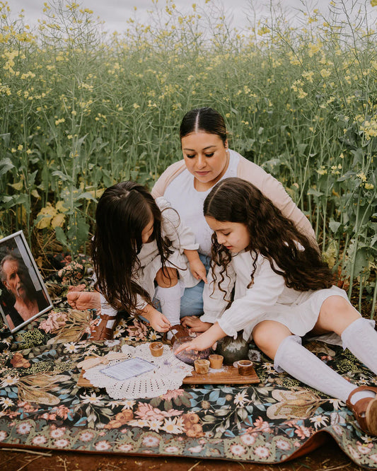 The_Little_Potion_co._Wings_of_a_dragonfly_Mindful_Potion_Kit_family