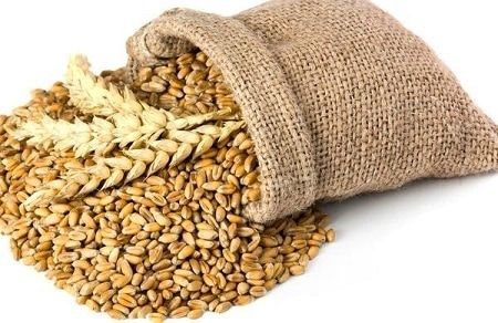 Warmies 100% Wheat Hot Pack scented with French Lavender