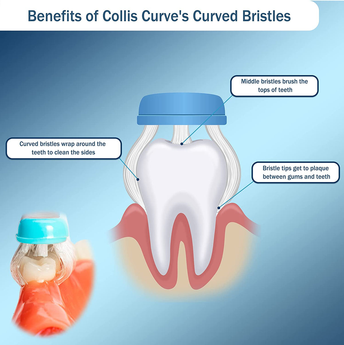 Collis Curve Toothbrush- Adult soft – TheHappyGiraffe