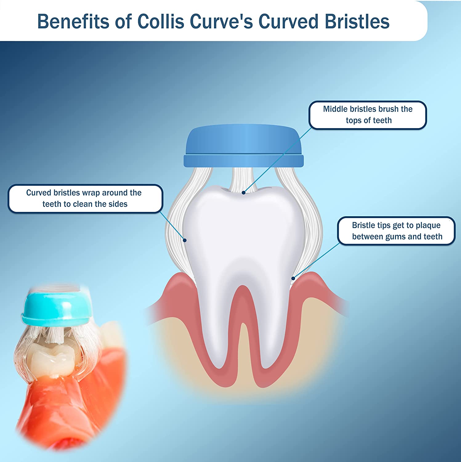 Collis-Curve_Adult__Soft_Toothbrush_with_Triplefit_Bristles_gums