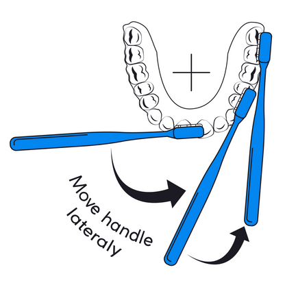 Collis-Curve_Baby_Toothbrush_with_Triplefit_Bristles_green_cap_movement