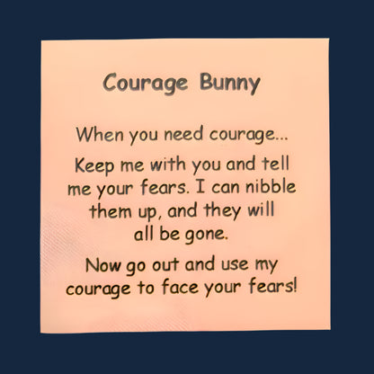 Courage_Bunny_Worry_Stone_Little_Joys_crop
