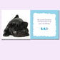 Dealing_in_feeelings_Feelings_and_me_book_pug