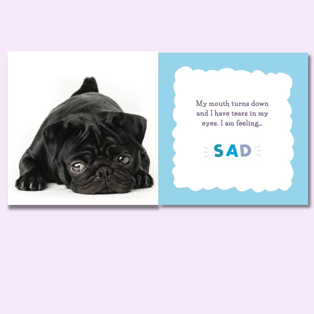 Dealing_in_feeelings_Feelings_and_me_book_pug