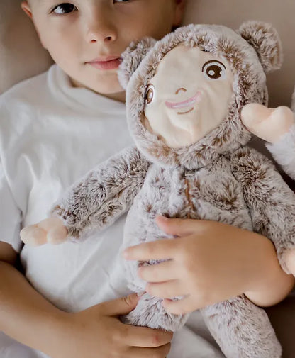 Feelings Friends- Learning about emotions- includes all 3 sets of Interchangeable faces