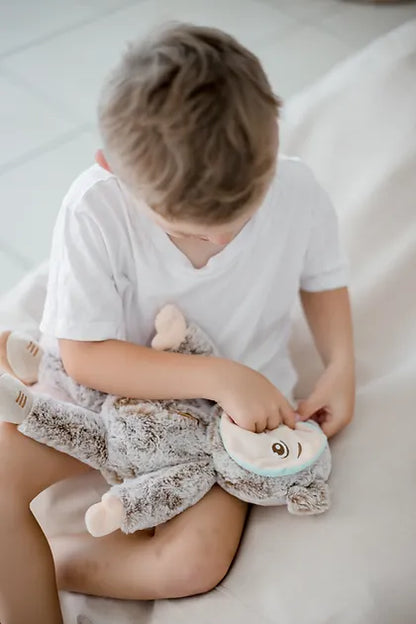 Feelings Friends- Learning about emotions- includes all 3 sets of Interchangeable faces