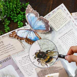 Heebie_Jeebies_magnifying_glass_bee