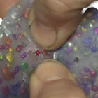 Kaiko_Pebble_Pick_Em_picking