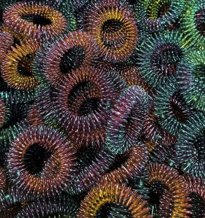 Kaiko_wrist_spikey_oil_slick_self_harm_tool_mass