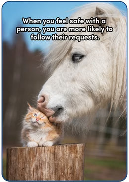 All About Neurodiversity Cards