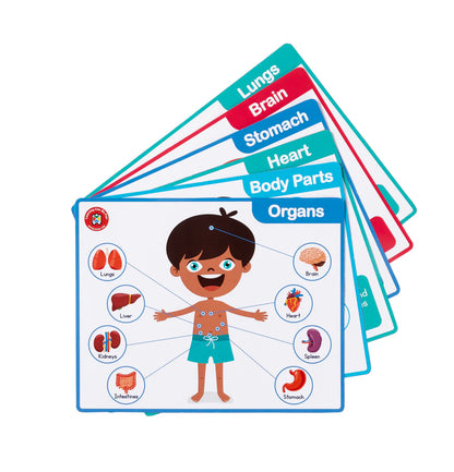 Learning_can_be_fun_doctors_clinic_organs
