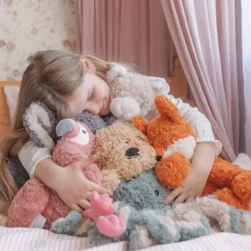 Pickles the Weighted Cat by Mindful and Co.