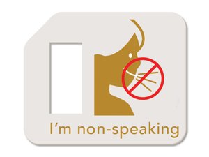 REMINDABLES- I'm Non Speaking