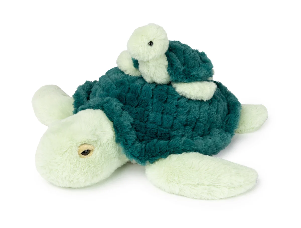 Sensory_Sprout_weighted_turtle