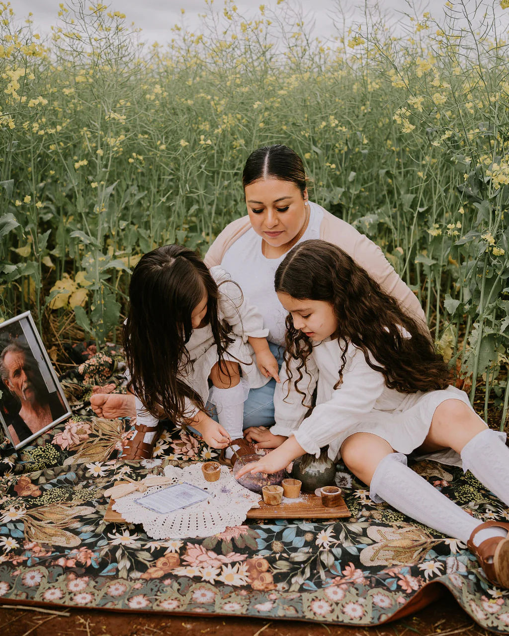 The_Little_Potion_co._Wings_of_a_dragonfly_Mindful_Potion_Kit_family