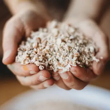 The_Saltwater_Collective_shell_sand_4