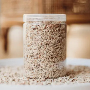 The_Saltwater_Collective_shell_sand_5