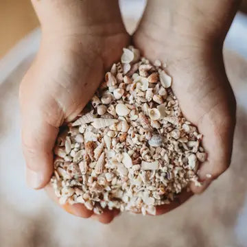 The_Saltwater_Collective_shell_sand_bc4