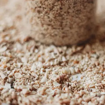 The_Seawater_Collective_shell_sand_6