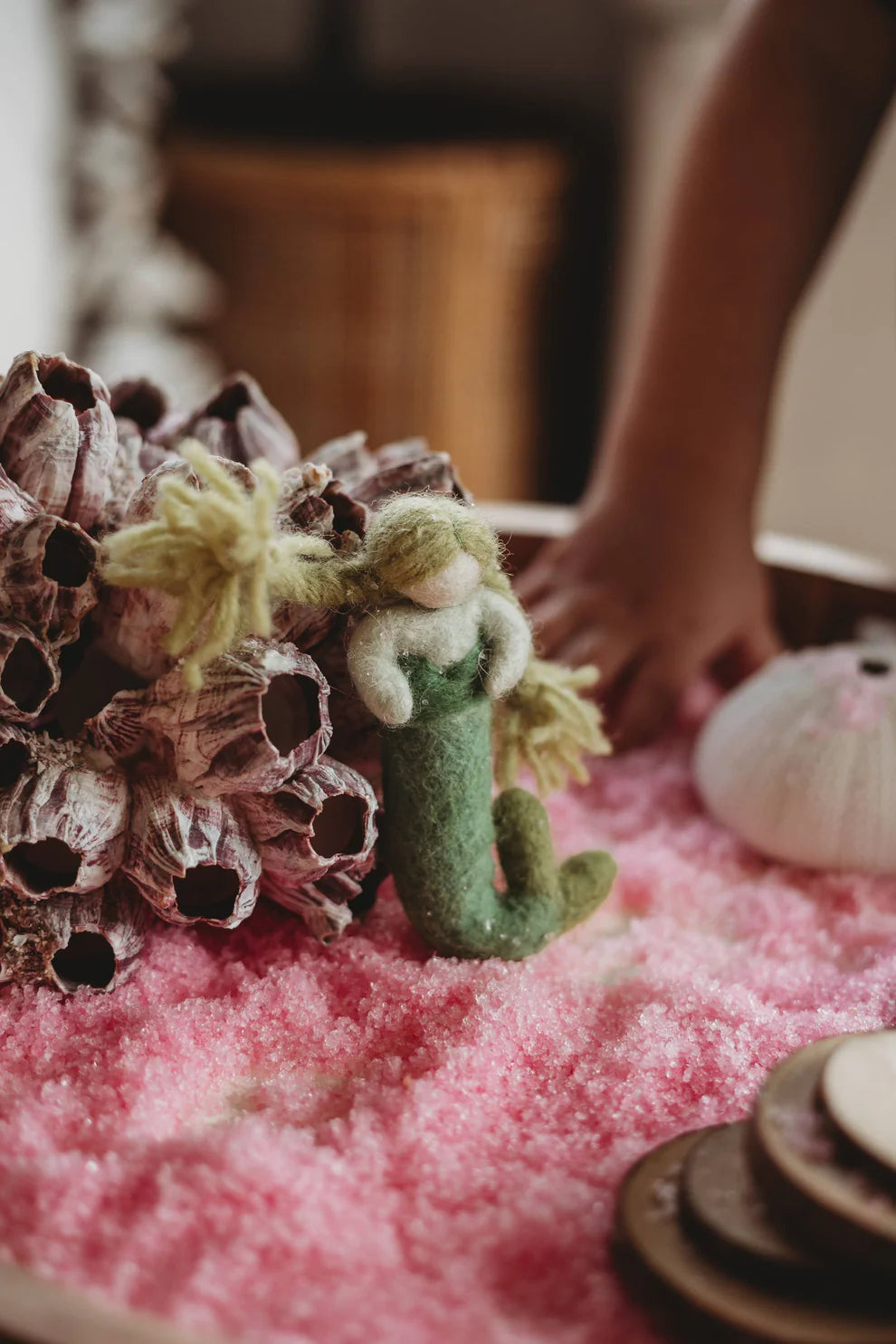 The_saltwater_collective_sea_star_fluff_3