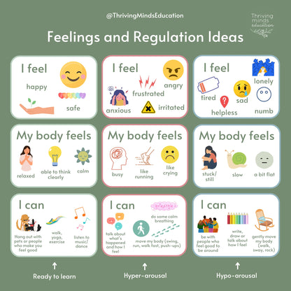 Feelings and Regulation Idea Cards by Thriving Minds Education