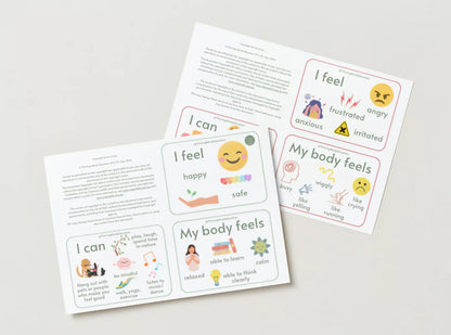 Feelings and Regulation Idea Cards by Thriving Minds Education