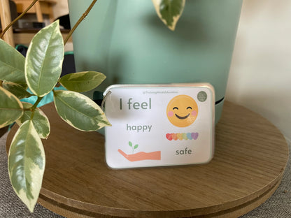 Feelings and Regulation Idea Cards by Thriving Minds Education