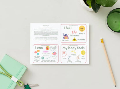 Feelings and Regulation Idea Cards by Thriving Minds Education