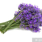 Warmies 100% Wheat Hot Pack scented with French Lavender