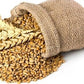 Warmies 100% Wheat Hot Pack scented with French Lavender