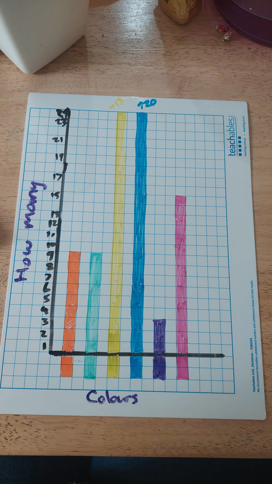 Write N' Wipe Boards 1cm Grid / .5cm Grid
