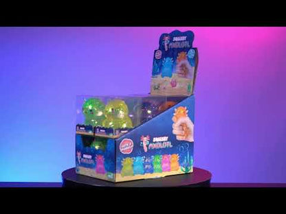 Axolotl Glitter Squishy