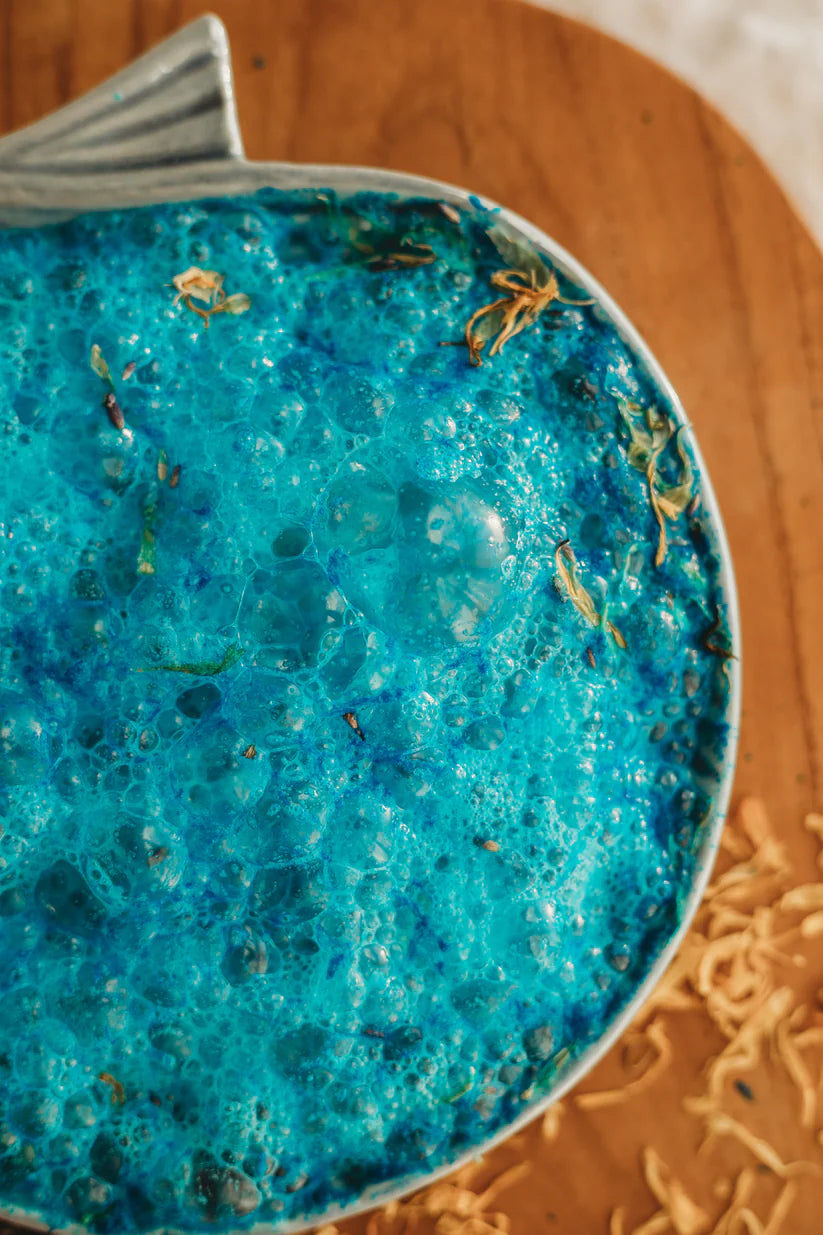 tHE_sALTWATER_cOLLECCTIVE_Ocean_Fizz_shell