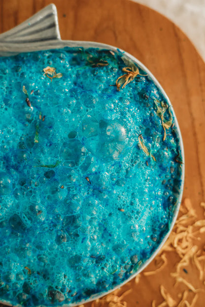 tHE_sALTWATER_cOLLECCTIVE_Ocean_Fizz_shell
