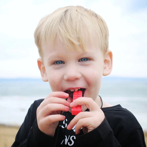 ARK'S_Brick_Stick_boy_chewing_red_brick_stick