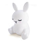 Lil Dreamers Soft Touch- Bunny