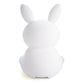 Lil Dreamers Soft Touch- Bunny