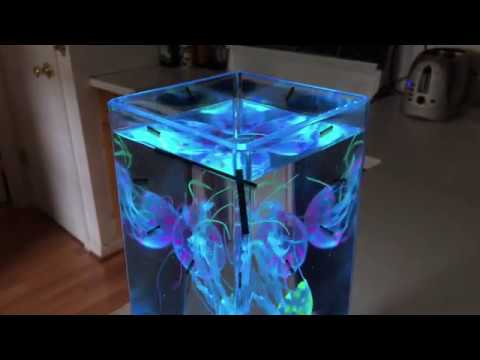 Realistic jellyfish lamp cheap