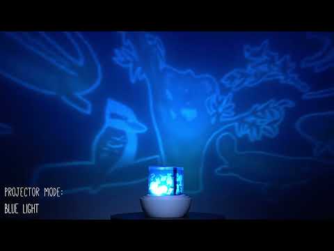 Lil_Dreamers_Lumi_Go_Round_ Australiana_Theme_you_tube_video