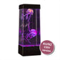 Jinx_Australian_jelly_fish_lamp