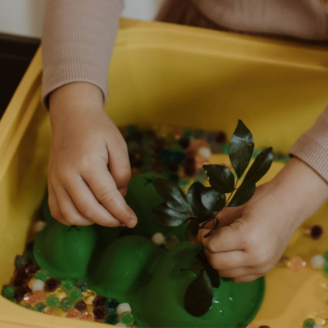 Jelly_Stone_desgins_Sensory_Scene_setters_in_sensory_tub_with_plants