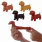 Pullie_Pall_Stretch_dachshund_